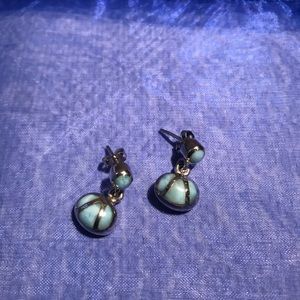 Silver earrings with turquoise